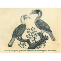Picture 1