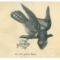 Picture 1