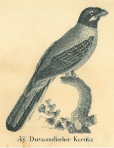 Picture 1