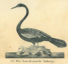Picture 1