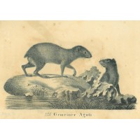 Picture 1