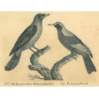 Picture 1