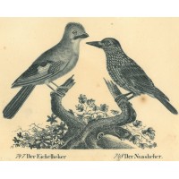 Picture 1