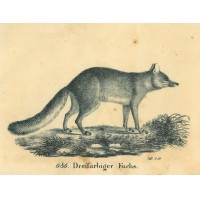 Picture 1