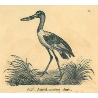 Picture 1