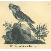 Picture 1