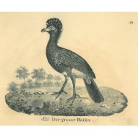 Picture 1