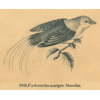 Picture 1