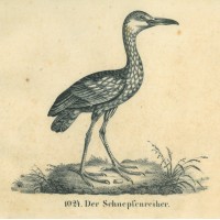 Picture 1