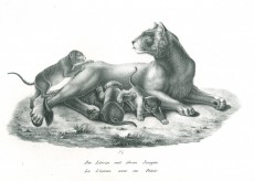 Picture 1