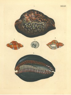 Picture 1