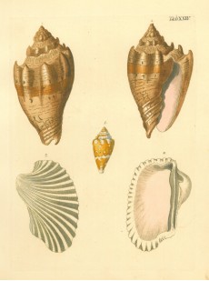 Picture 1