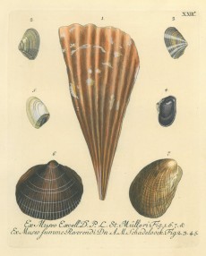 Picture 1