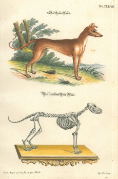 Picture 1