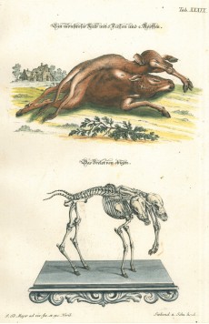 Picture 1