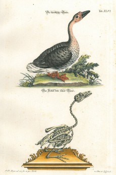 Picture 1