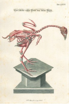 Picture 1