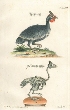 Picture 1