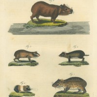 Picture 1