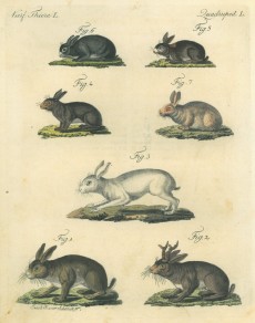 Picture 1