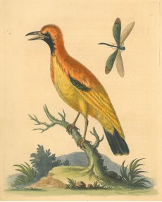 Picture 1