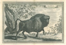 Picture 1