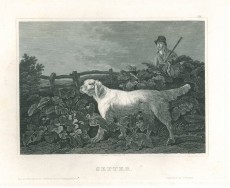 Picture 1