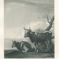 Picture 1