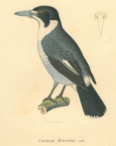 Picture 1
