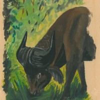 RINDER. - Büffel. Picture 1