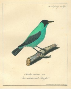 Picture 1