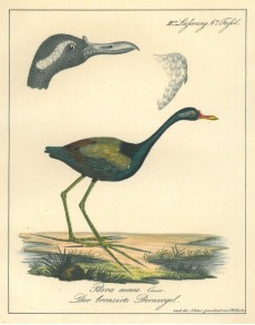 Picture 1