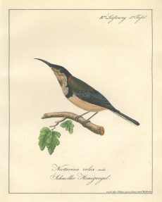 Picture 1