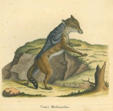 Picture 1