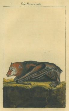 Picture 1