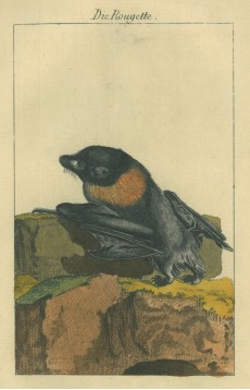 Picture 1