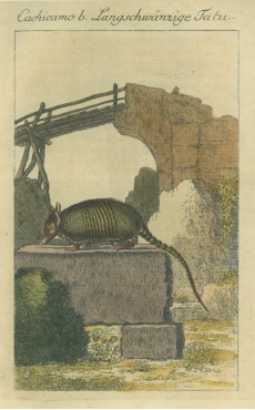 Picture 1