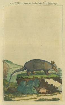 Picture 1