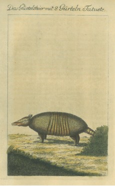 Picture 1