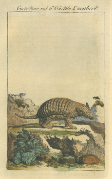 Picture 1
