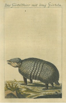 Picture 1