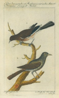 Picture 1