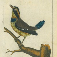 Picture 1