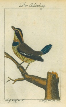 Picture 1