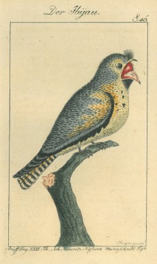 Picture 1