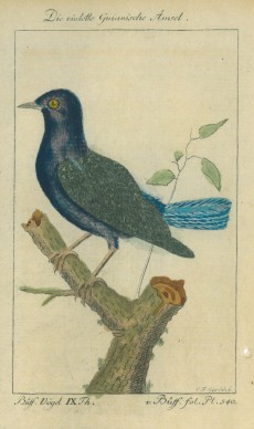 Picture 1
