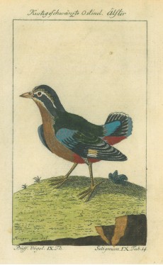 Picture 1