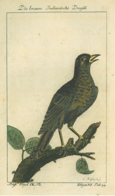 Picture 1