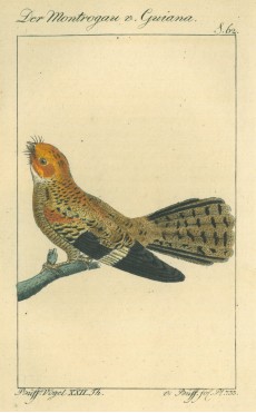 Picture 1