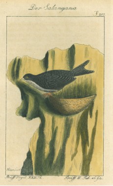 Picture 1